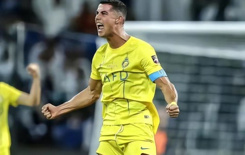 南宫28-赛前亚冠传出新动向；斯图加特强势反弹；管理层表态：管理层满意；数据趋势出现新变化的简单介绍