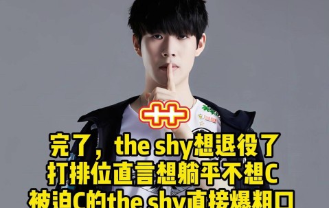 NG28-美国队不断突破！，TheShy连续十二场比赛得分超过败北赢得满堂喝彩(RhythmoftheRain翻译)